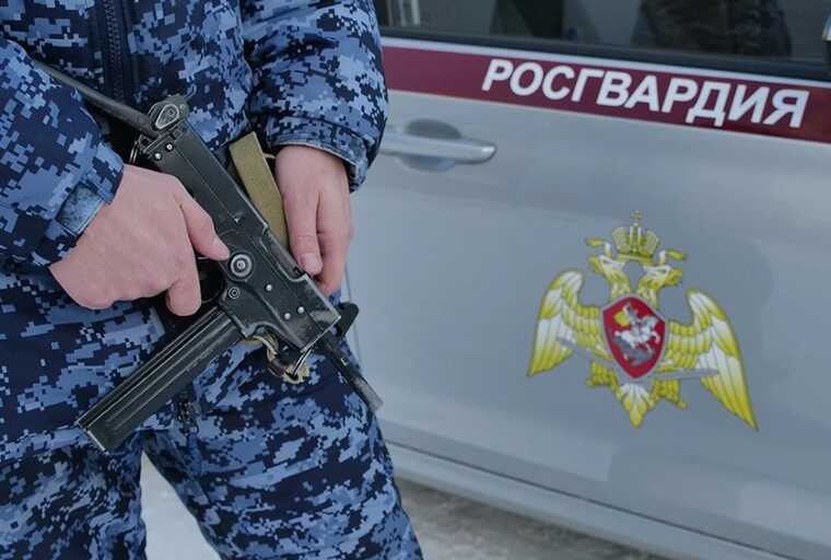 Берекет, Васильев, Кузнецов и Чиж: банда оборотней из питерской Росгвардии