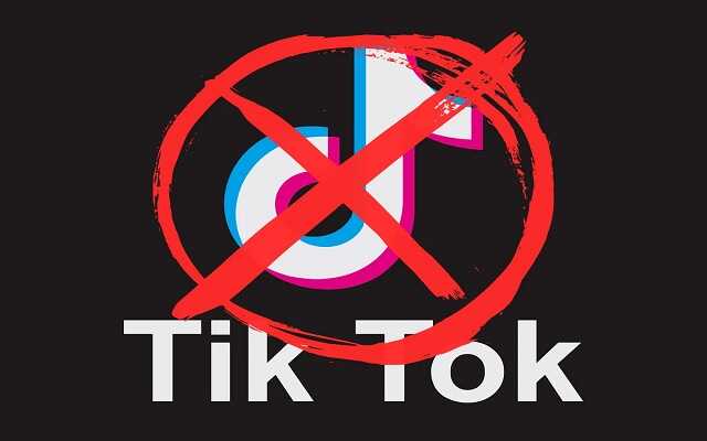 В США штат Монтана первым запретил TikTok