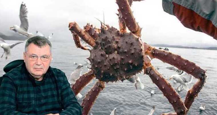 "Дон Крабе" возвращается снова