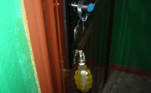 Из-за установленной на двери дома волонтеров гранаты контузило кошку