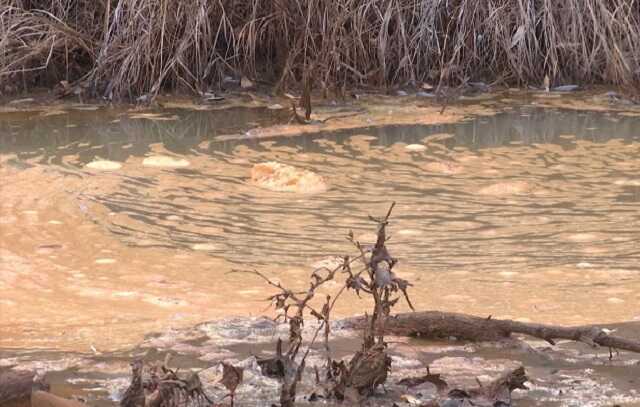 В Бурятии тонны навоза утекли в реку Нижняя Подъемная