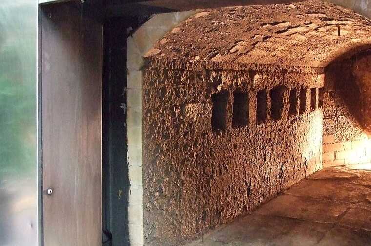 Связанные с сомнительными МФО люди накрывают Поволжье сетью крематориев