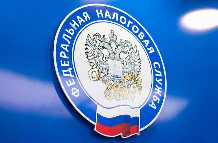 ФНС грозит банкротством сотням компаний-должников в Черноземье