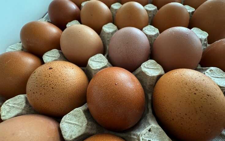 Ни яйца, ни курицы