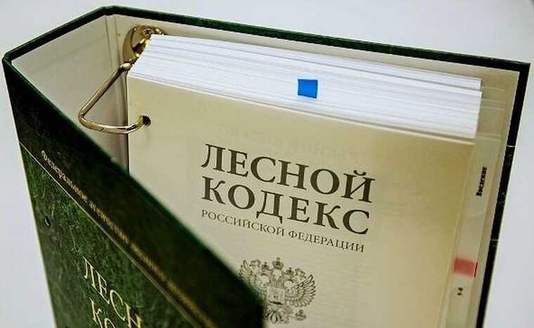 Палки в колеса Segezha Group? В Госдуме предлагают изменить Лесной кодекс