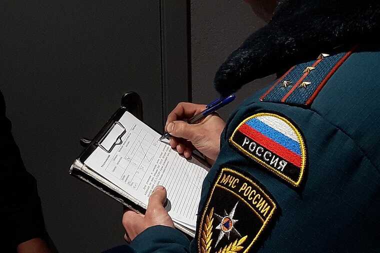 МЧС проверит генерала Любавина после пожеланий онкологии семье пожаловавшегося на него сотрудника