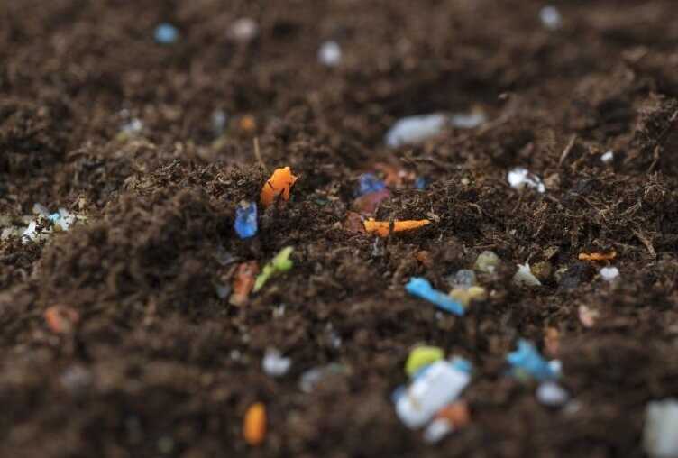 Росприроднадзор принуждает к расчистке земель мэрию Заводоуковска