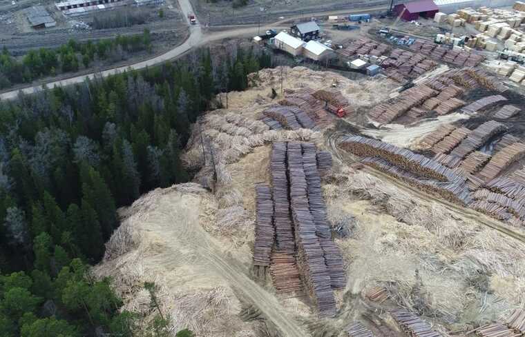 Исключение из правил: «Сегежа Групп» пренебрегает сертификацией