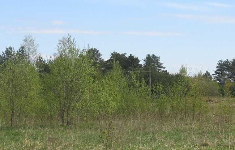 Под Прибрежным в Энгельсе бойко распродают землю под коттеджи в несуществующем СНТ