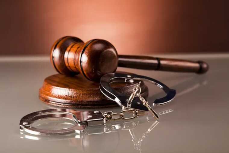 Ученые-артиллеристы разводили ферму "мертвых душ"