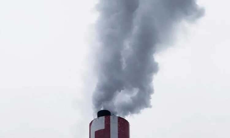 В Самаре пожаловались на гарь из-за крематория для животных