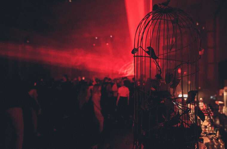 Скандальный клуб Mutabor снова открыт для посещения