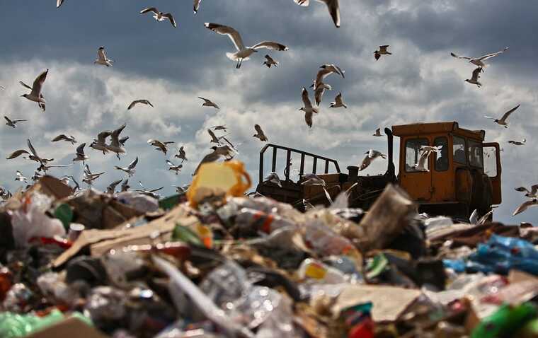 Экологическая катастрофа грозит Красноярску из-за мусорного полигона