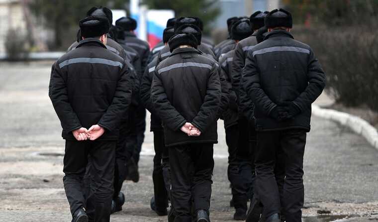 В «Черном дельфине» из заключенных делают ласточек