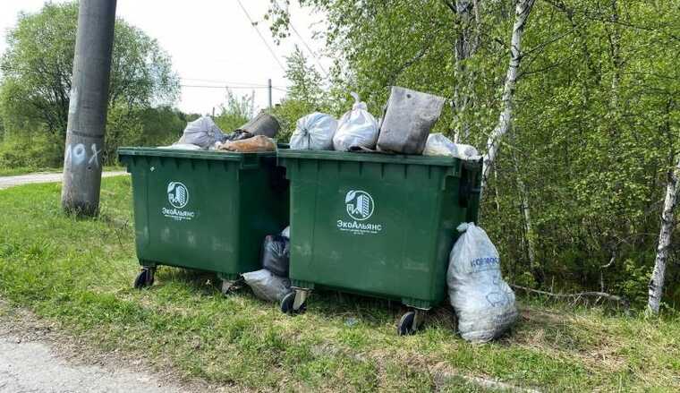 Мусорный коллапс: «ЭкоАльянс» переводит стрелки на подрядчиков