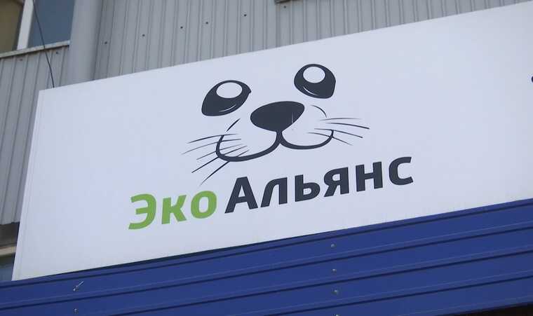 Суд жабы и гадюки: «ЭкоАльянс» против ООО «Здоровье»