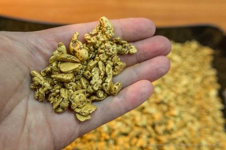 Житель Магадана осуждён за хранение золота и серебра на 15 миллионов рублей