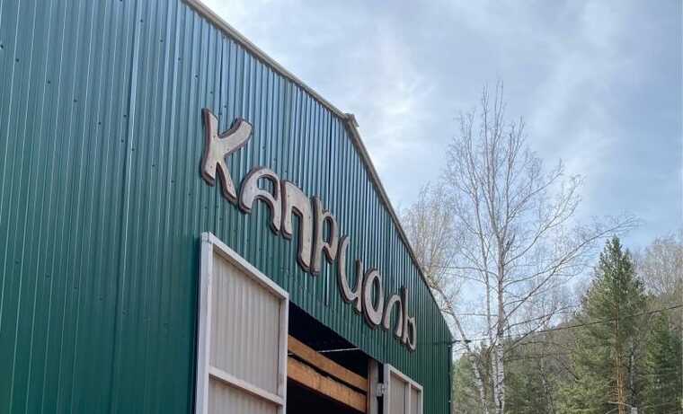 «Каприоль» против системы: как «Роев ручей» и чиновники выживают иппотерапию с арендуемой земли