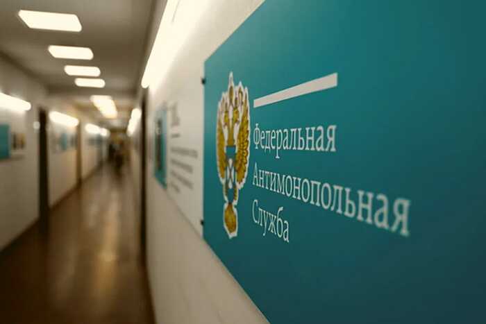 Кратковременный сбой на сайте ФАС вызвал вопросы о стабильности госресурсов