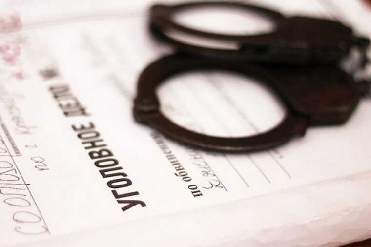 Общественницу Ирину Рудницкую арестовали по делу о торговле детьми