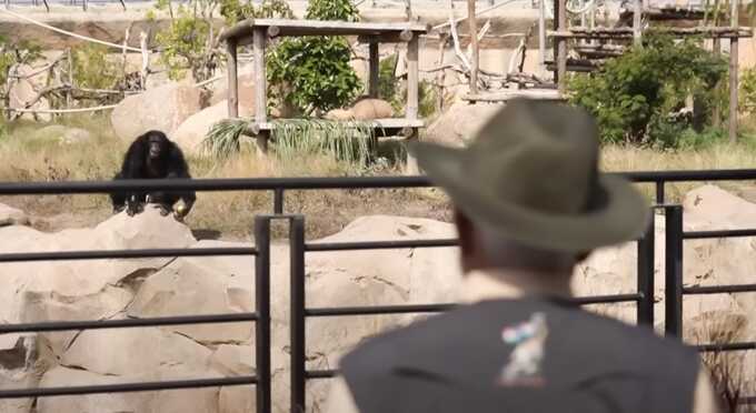 Центр миллиардера Амбани под подозрением: тысячи редких животных ввезены с нарушениями