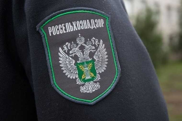 Минсельхоз и Россельхознадзор запретили поставки чешских инкубационных яиц