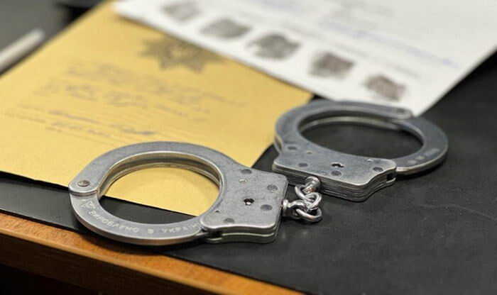 Суд арестовал защитников «Лосиного острова» после акции против строительства дороги