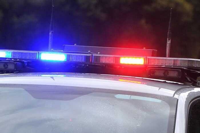 Похититель нянь из Богородска ранее судим за кражи и угоны