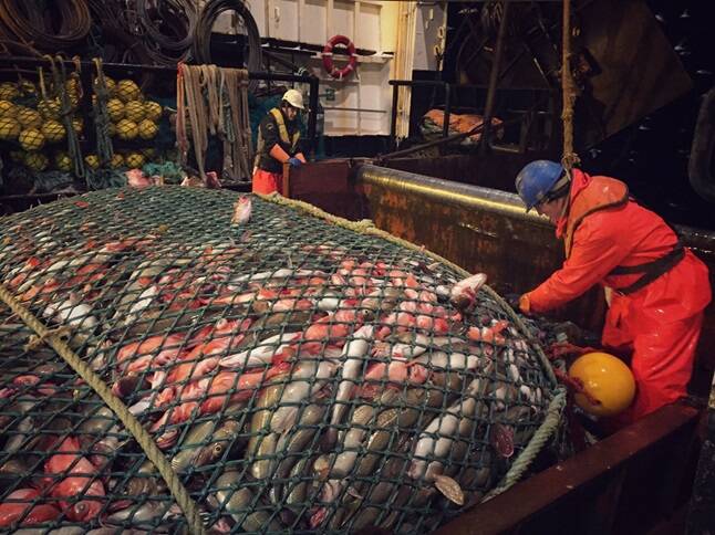 rxidquidtrikdkrt dqxikeidqxitksld