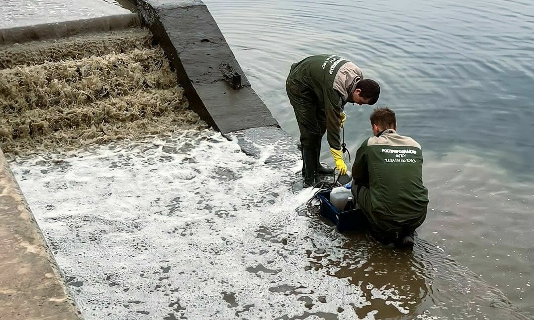 А еще матом кроет: почему волгоградцы устали от Бочарова А еще матом кроет: почему волгоградцы устали от Бочарова tidttiqzqiqkdkrt dqxikeidqxizsld
